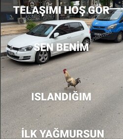 IMG_1190.jpeg