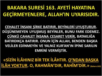 BAKARA 163..jpg