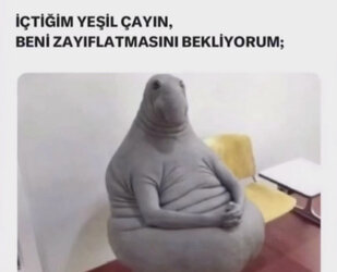 3AC7E921-B3E3-44E8-BFAA-3DA50B4CDB00.jpeg