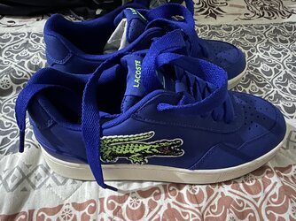 IMG_9256.jpeg