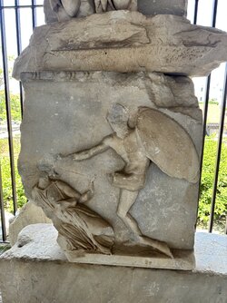 IMG_1555.jpeg