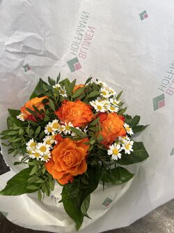IMG_1870.jpeg