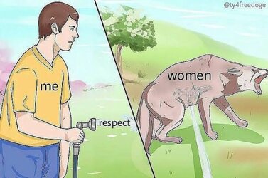 images (32).jpeg images (32).jpeg