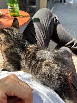 IMG_7061.jpeg