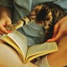 kedi çakması